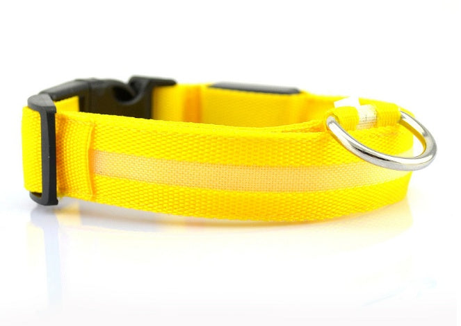 LED Safety Collar for Night Dog Walks
