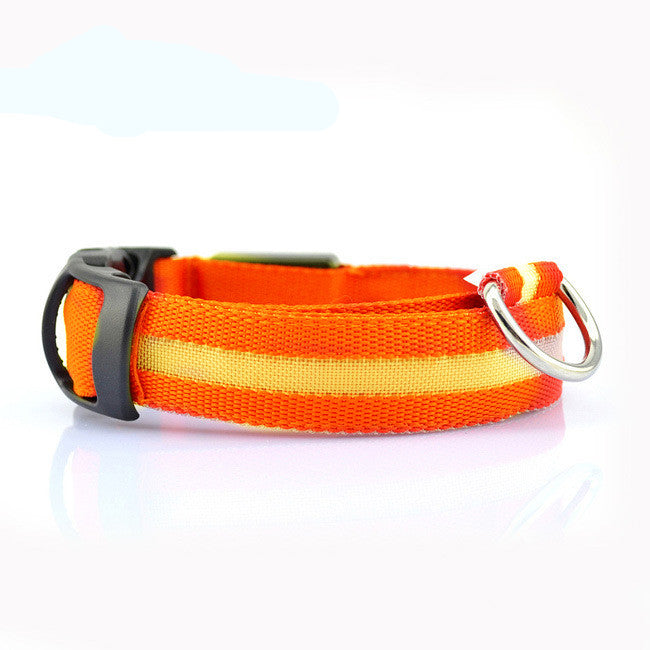 LED Safety Collar for Night Dog Walks