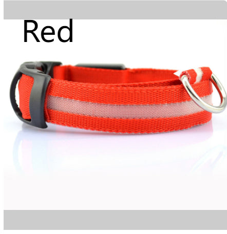 LED Safety Collar for Night Dog Walks