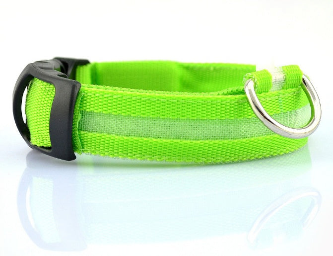 LED Safety Collar for Night Dog Walks