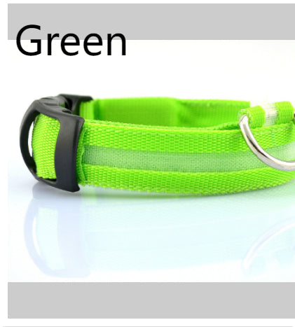 LED Safety Collar for Night Dog Walks