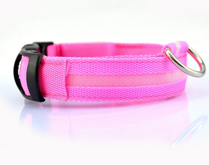 LED Safety Collar for Night Dog Walks