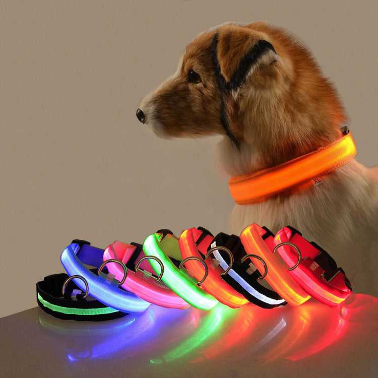 LED Safety Collar for Night Dog Walks