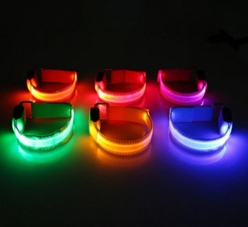 LED Safety Collar for Night Dog Walks