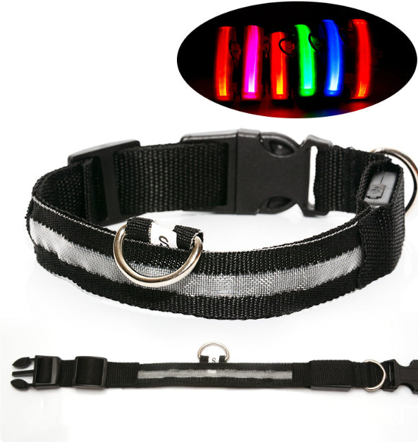 LED Safety Collar for Night Dog Walks