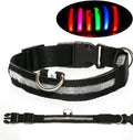 LED Safety Collar for Night Dog Walks
